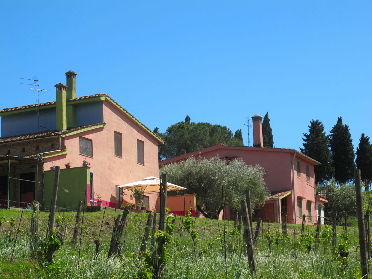 Maison Conte Francesco II – domaine viticole à Certaldo - Photo 4