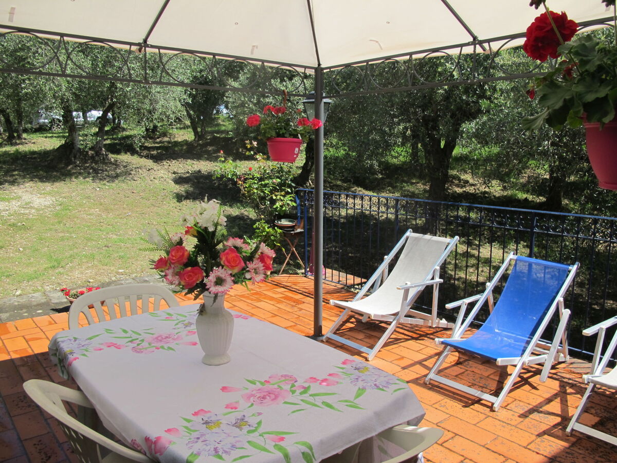 Maison Conte Francesco II – domaine viticole à Certaldo - Photo 28
