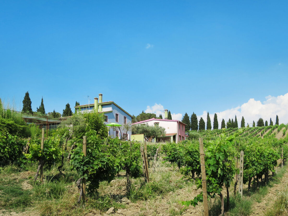 Maison Conte Francesco II – domaine viticole à Certaldo - Photo 44