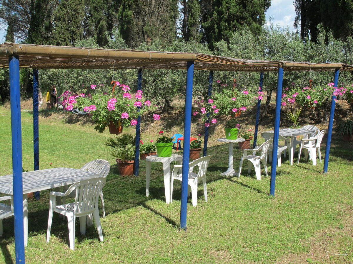 Maison Conte Francesco II – domaine viticole à Certaldo - Photo 48