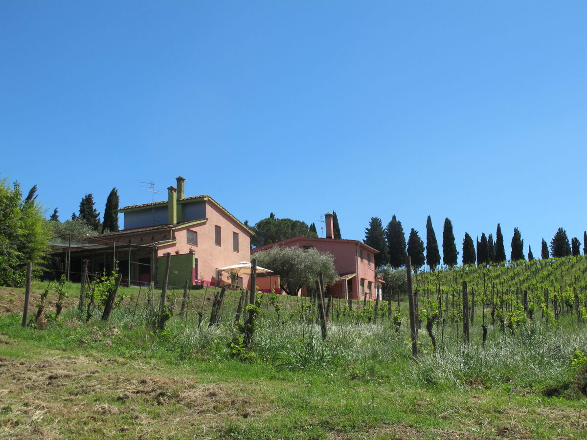 Maison Conte Francesco II – domaine viticole à Certaldo - Photo 52