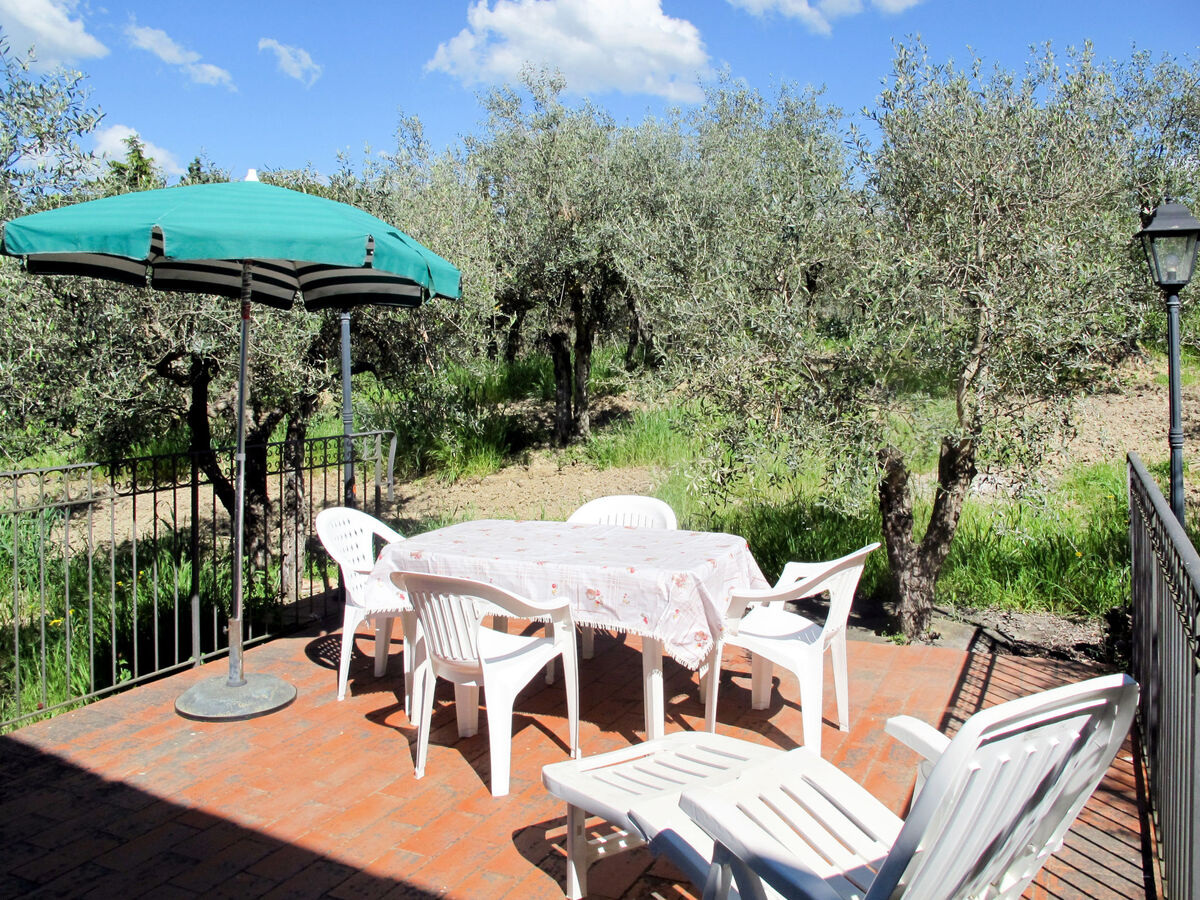 Maison Conte Francesco II – domaine viticole à Certaldo - Photo 62