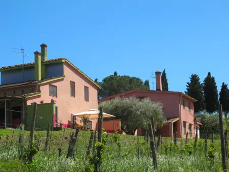 Maison Conte Francesco II – domaine viticole à Certaldo : photo 4