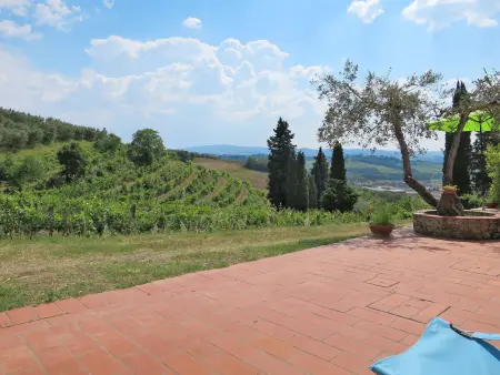 Maison Conte Francesco II – domaine viticole à Certaldo : photo 50