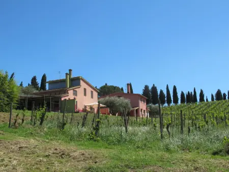 Maison Conte Francesco II – domaine viticole à Certaldo : photo 52