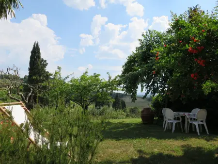 Podere Conte Francesco-La Palma, Certaldo : photo 27