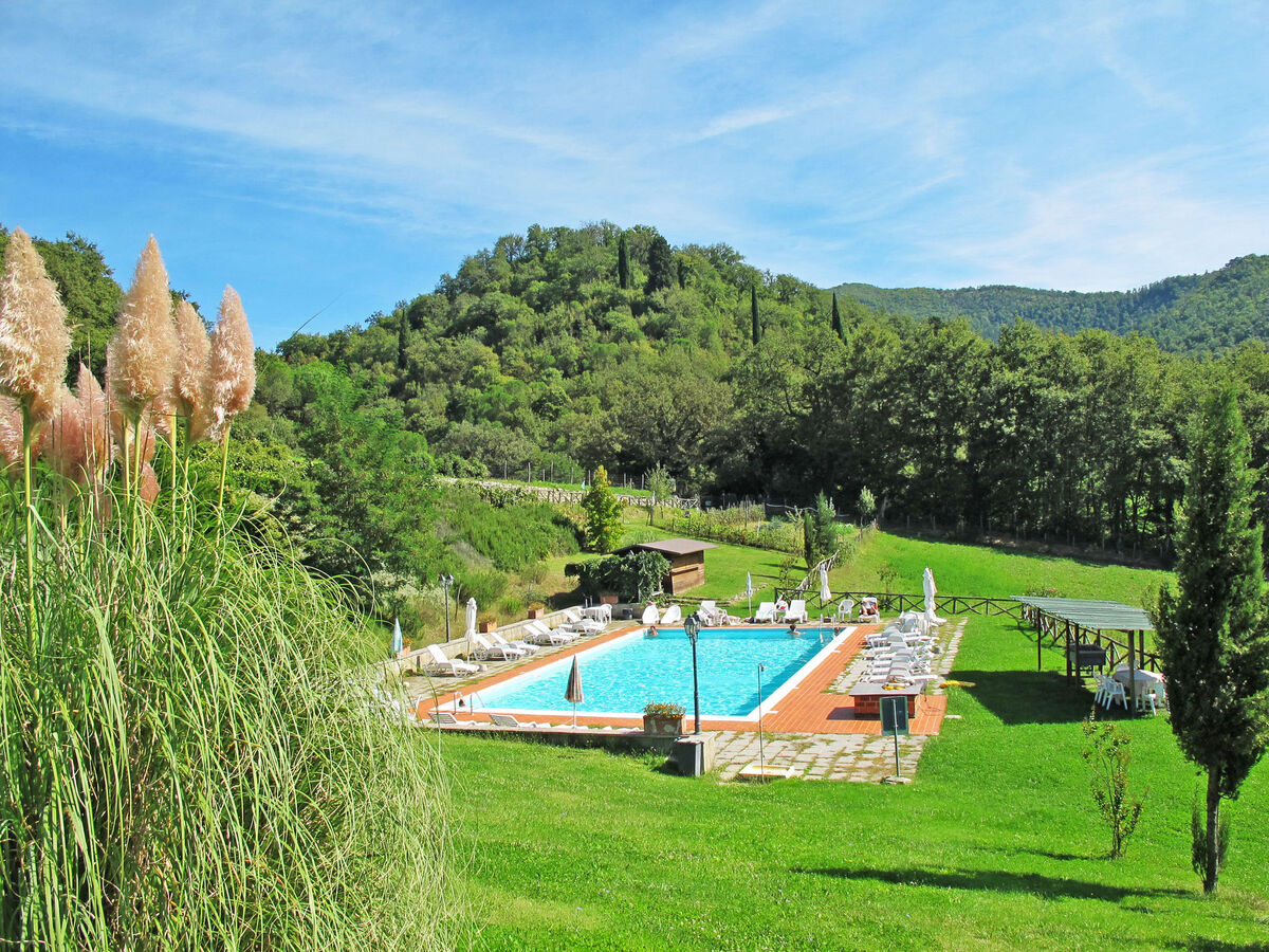 Maison Vigna La Corte, domaine viticole Dicomano - Photo 15