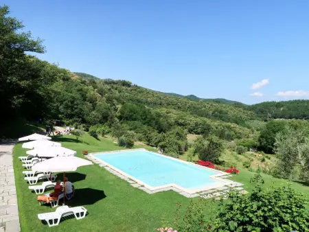 Studio La Fonte à Dicomano, vue sur les vignobles : photo 2