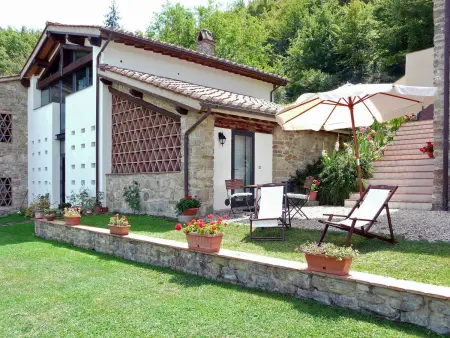 Studio La Fonte à Dicomano, vue sur les vignobles : photo 6