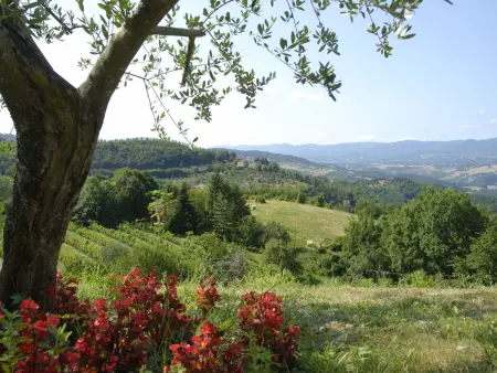 Studio La Fonte à Dicomano, vue sur les vignobles : photo 10
