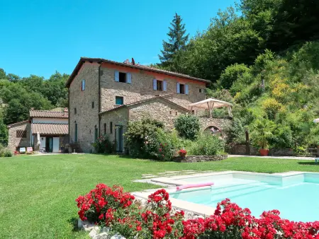 Studio La Fonte à Dicomano, vue sur les vignobles : photo 11