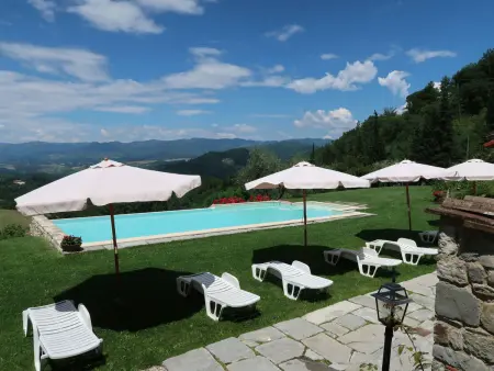 Studio La Fonte à Dicomano, vue sur les vignobles : photo 14