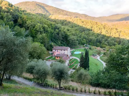 Studio La Fonte à Dicomano, vue sur les vignobles : photo 17