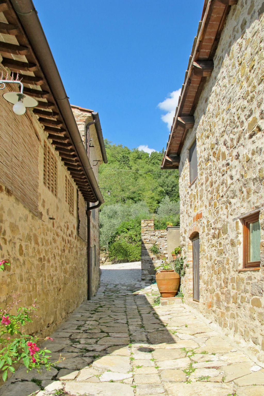 Gîte Le Ginestre – collines de Florence, piscine et vignobles - Photo 23