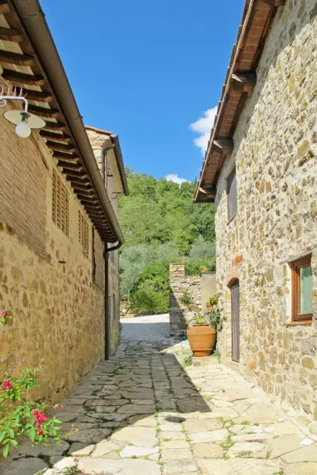 Gîte Le Ginestre – collines de Florence, piscine et vignobles : photo 23