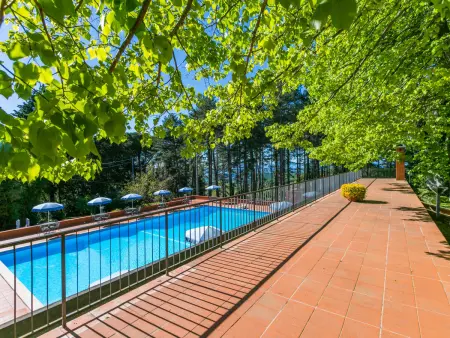 Location gite à Montaione