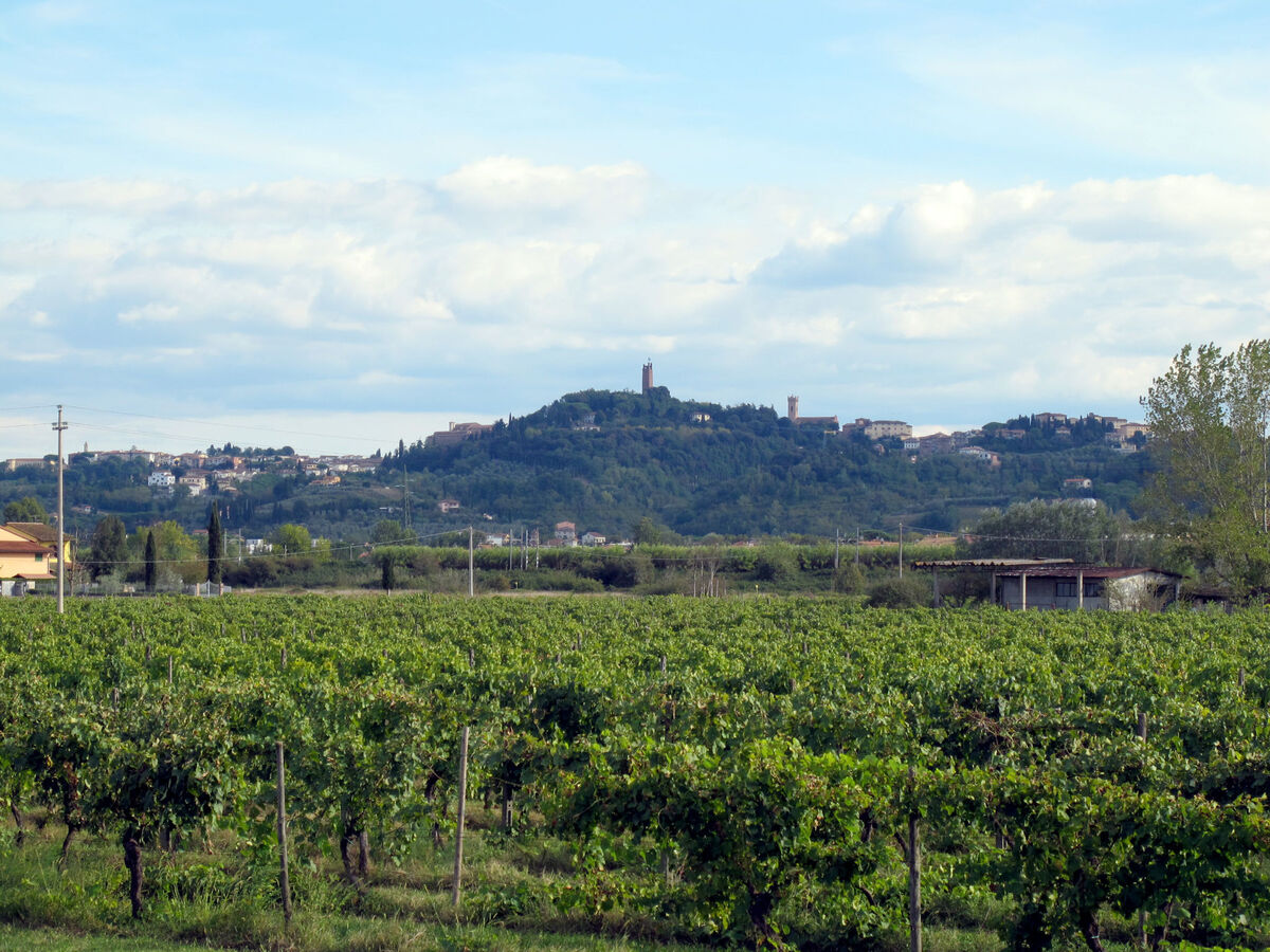 Casa Girasole : villa 13 pers. avec piscine à San Miniato - Photo 79