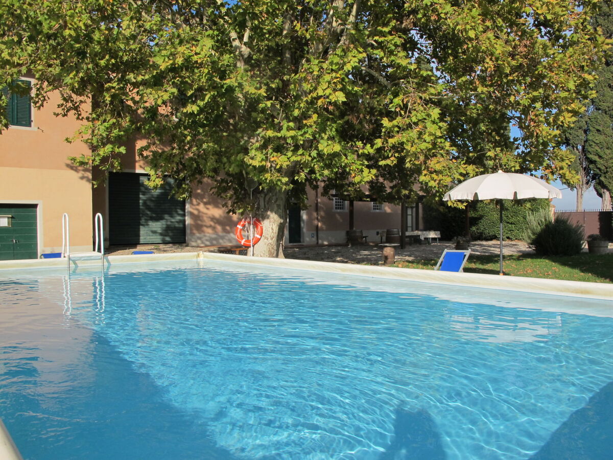 Casa Girasole : villa 13 pers. avec piscine à San Miniato - Photo 94