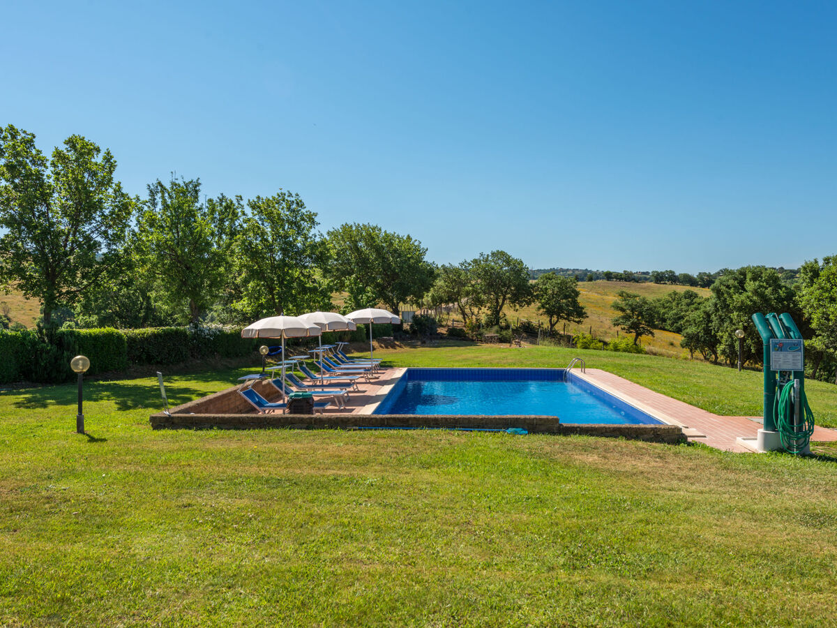 Ginestra, gîte rustique 4 pers. à la campagne toscane - Photo 17