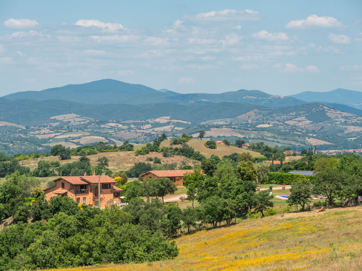 Ginestra, gîte rustique 4 pers. à la campagne toscane - Photo 18