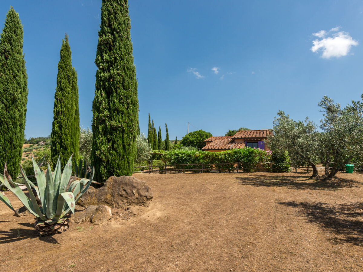 Bardi I - Maison rustique 4 pers. avec piscine à Scansano - Photo 29