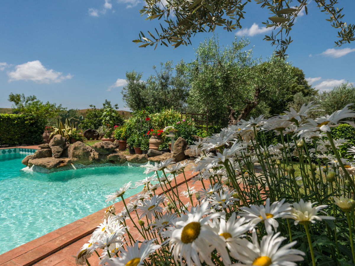 Maison Bardi II - Scansano, piscine et terrain 1500m² - Photo 22
