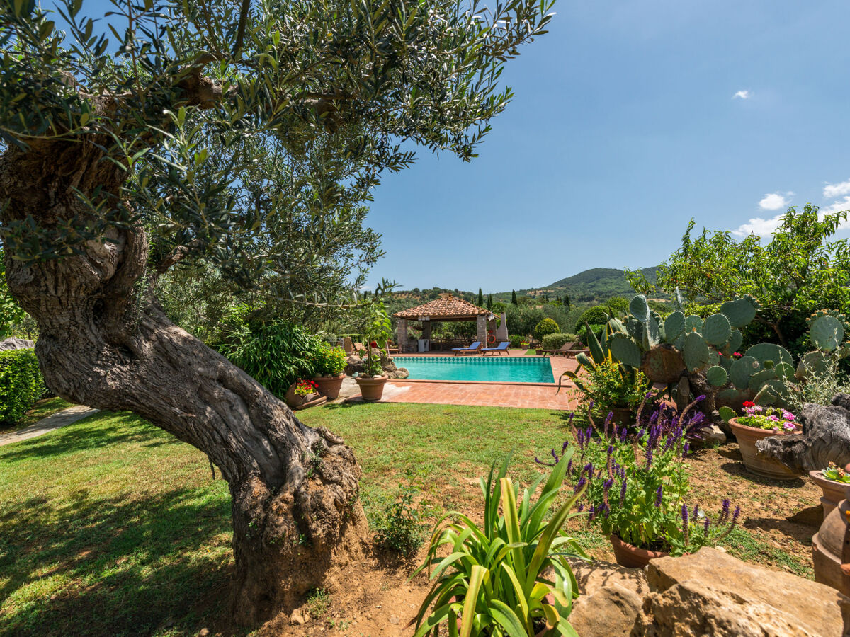 Maison Bardi II - Scansano, piscine et terrain 1500m² - Photo 24
