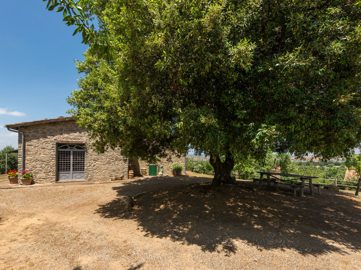 Maison Bardi II - Scansano, piscine et terrain 1500m² - Photo 38