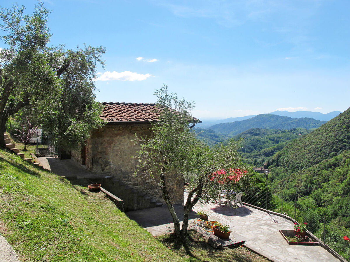 Castagneto, maison rustique isolée à Fiano - Photo 1