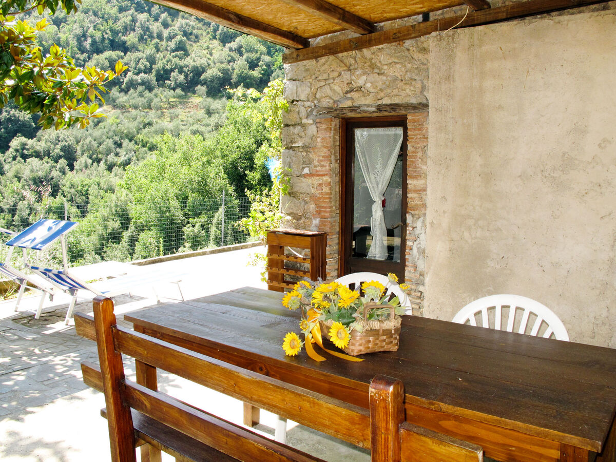 Castagneto, maison rustique isolée à Fiano - Photo 4