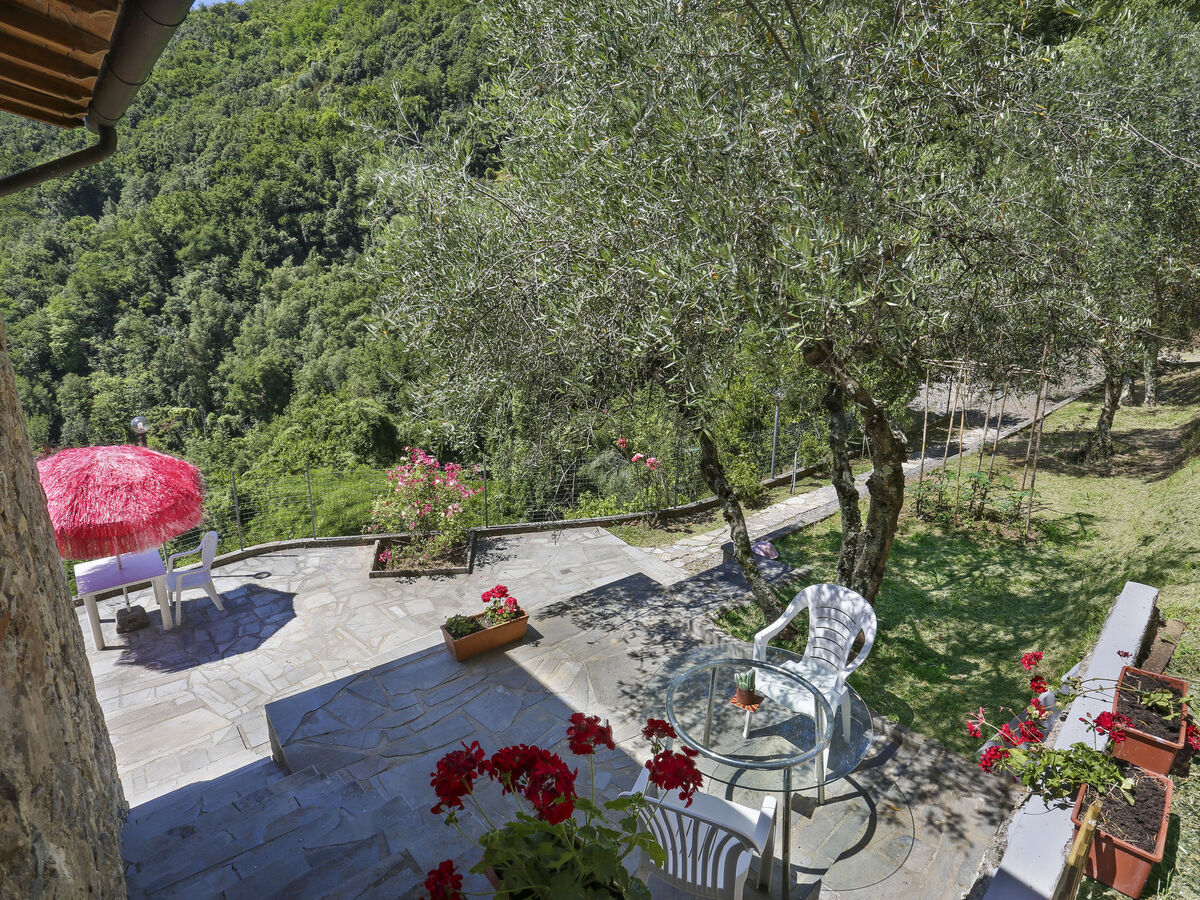 Castagneto, maison rustique isolée à Fiano - Photo 5