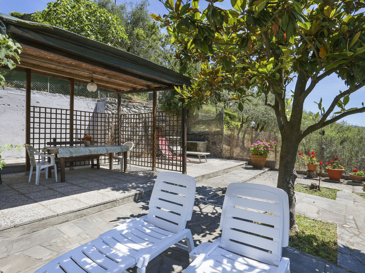 Castagneto, maison rustique isolée à Fiano - Photo 20