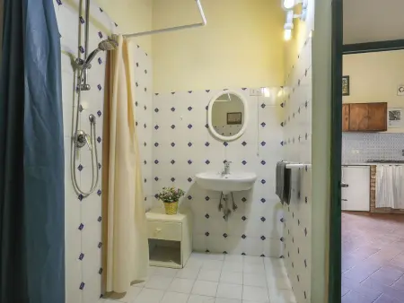 Fienile (PAA132), Maison 3 personnes à Palaia - Photo 7