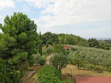 Fienile (PAA132), Maison 3 personnes à Palaia - Photo 15