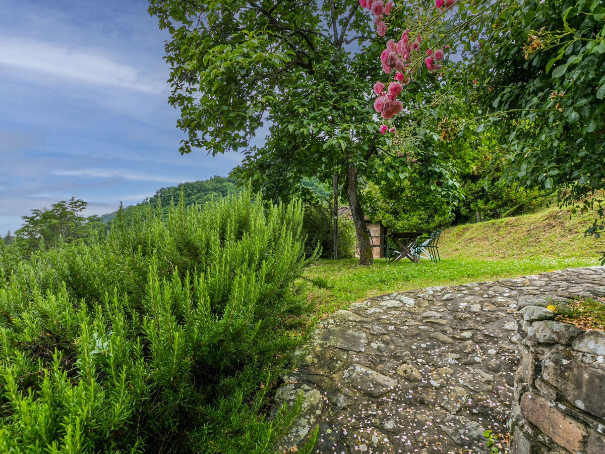 Podere Piastriccio - Maison rustique 2 pers. à Pescia - Photo 30