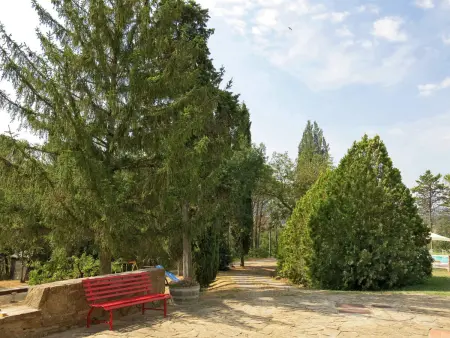 Le Palaie -, Appartement 6 personnes à Peccioli - Photo 17