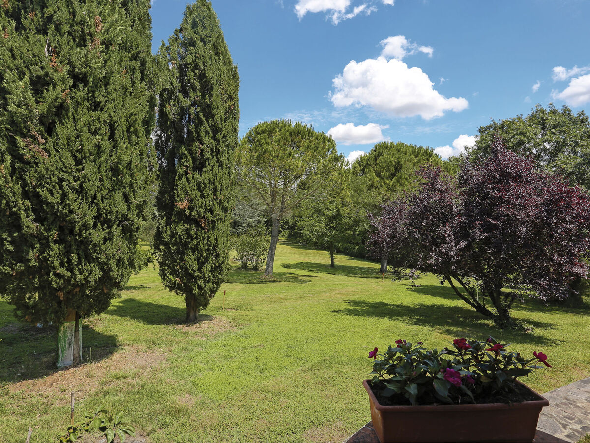 La Carraia - Appartement rustique 50 m² à Terricciola - Photo 18