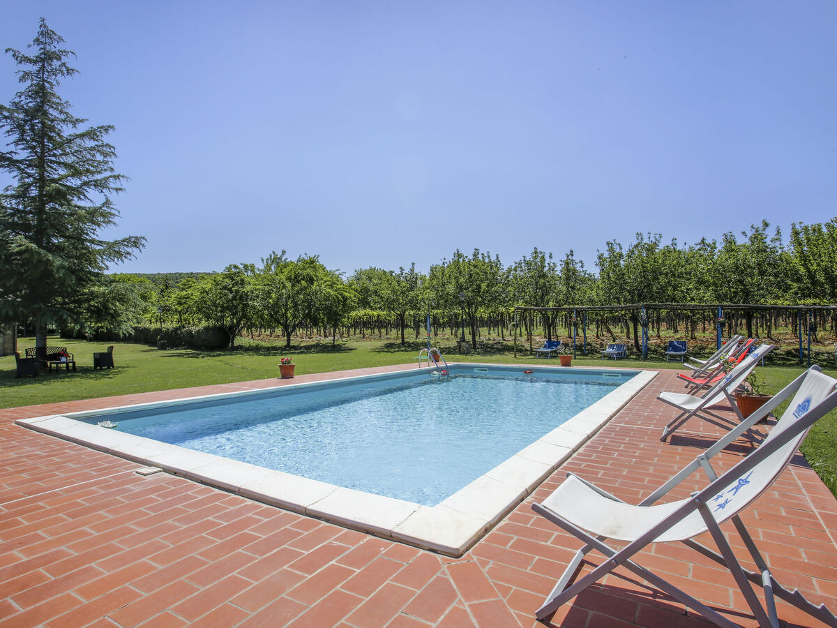 Fattoria Petraglia - Padronale, gîte 3p. Monteriggioni - Photo 5