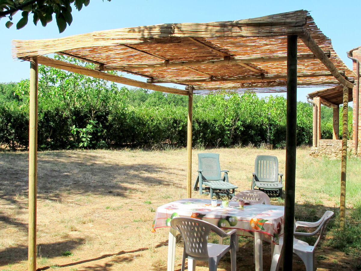 Fattoria Petraglia - Cedro, gîte rustique Monteriggioni - Photo 3