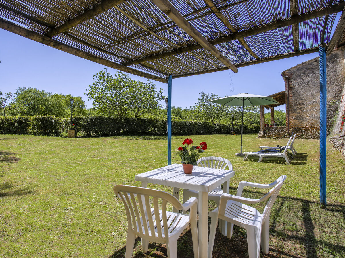 Fattoria Petraglia - Cedro, gîte rustique Monteriggioni - Photo 16