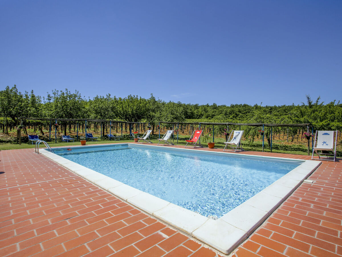 Fattoria Petraglia - Cedro, gîte rustique Monteriggioni - Photo 31