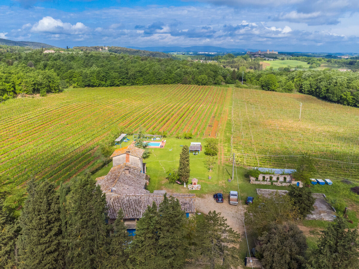 Fattoria Petraglia - Cedro, gîte rustique Monteriggioni - Photo 40