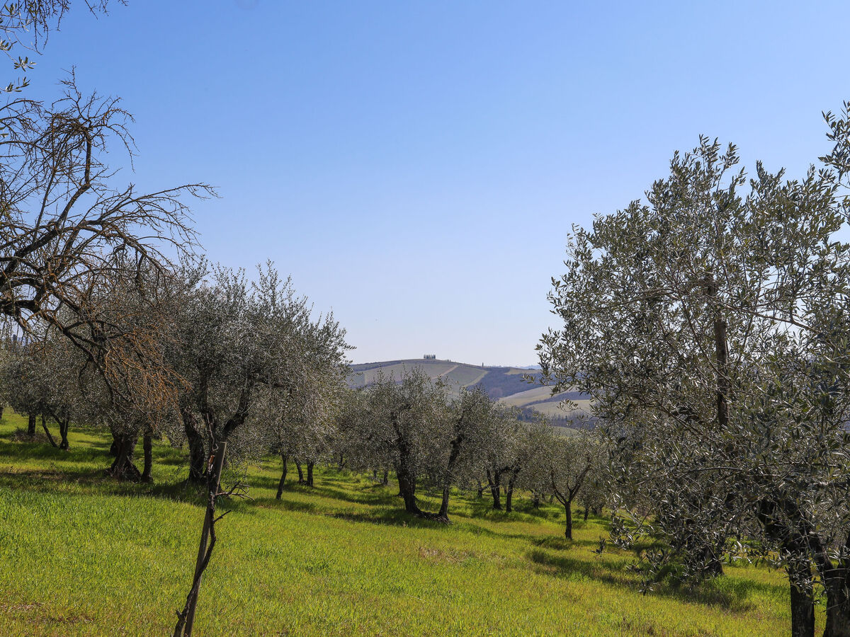 Podere San Raffaele - Cinzia, gîte rustique Toscane - Photo 16