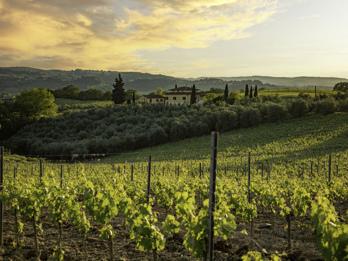 Podere San Michele – Villa 10 pers. avec piscine privée - Photo 64