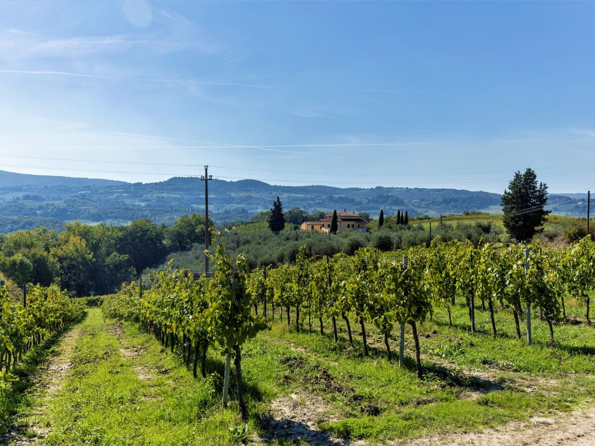 Podere San Michele – Villa 10 pers. avec piscine privée - Photo 70