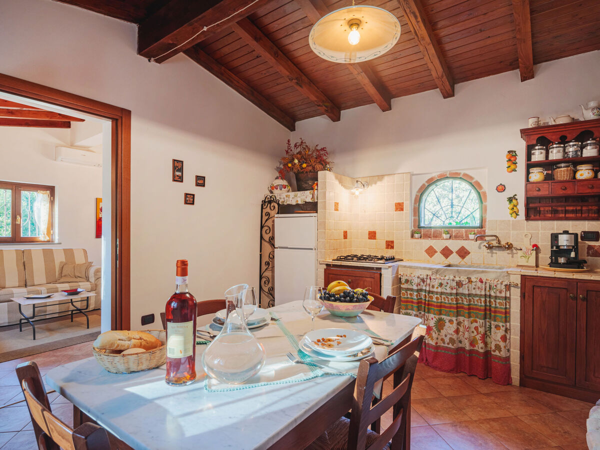 Grande Quercia – Maison rustique rénovée à Aulla - Photo 12