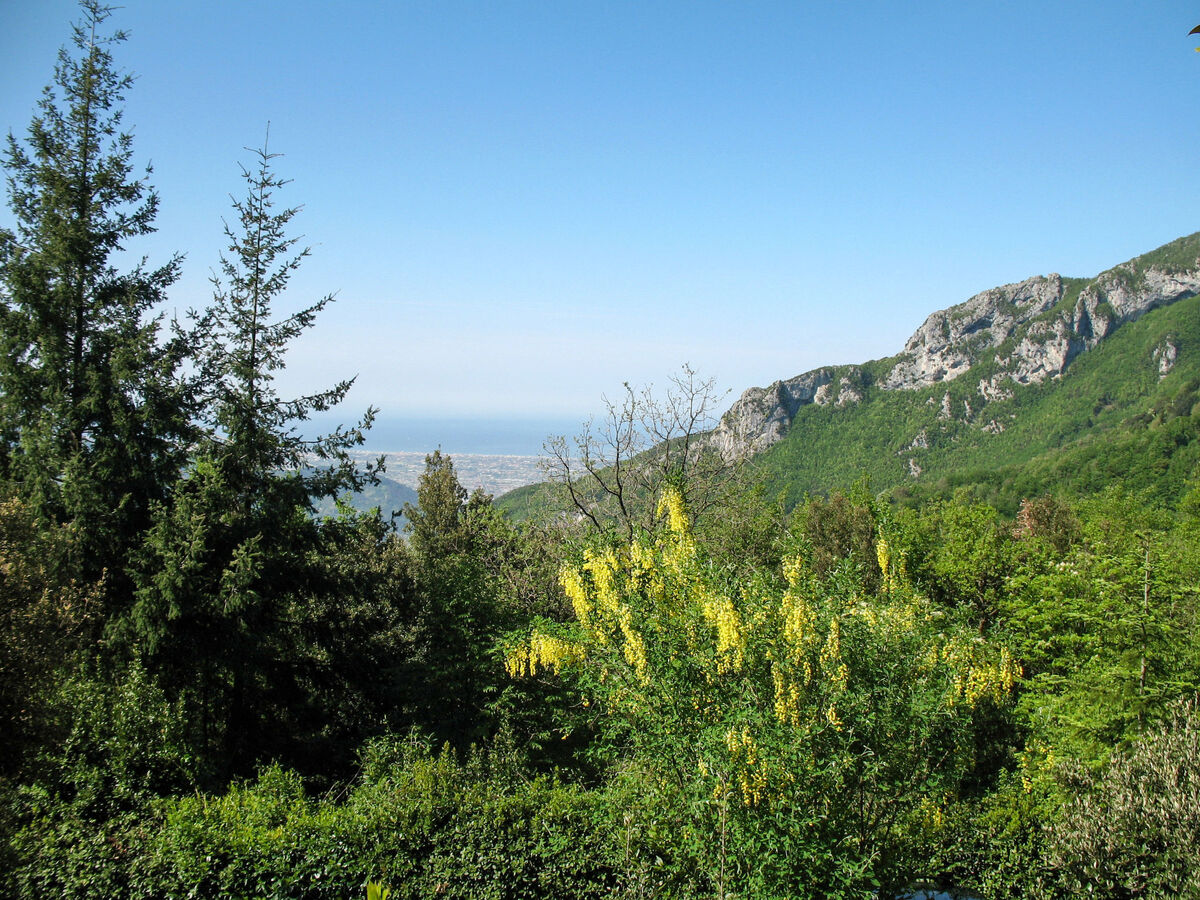 La Quercia – Gite 5 pers. à 650 m d'altitude - Photo 5