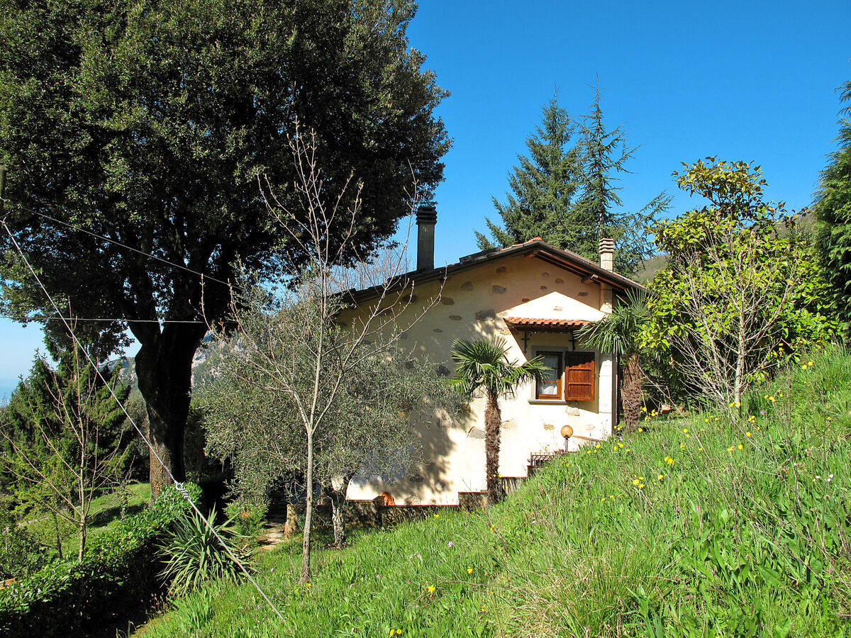 La Quercia – Gite 5 pers. à 650 m d'altitude - Photo 29