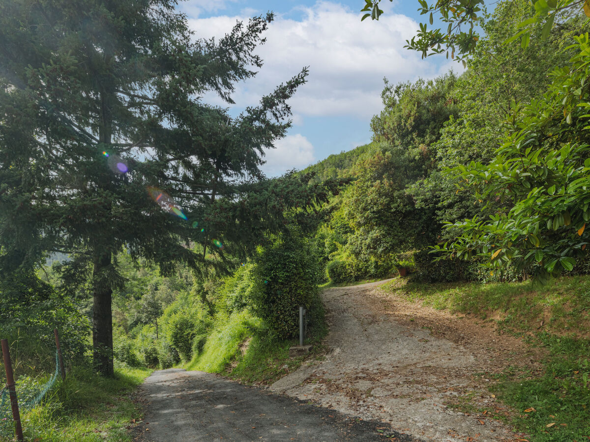 La Quercia – Gite 5 pers. à 650 m d'altitude - Photo 38