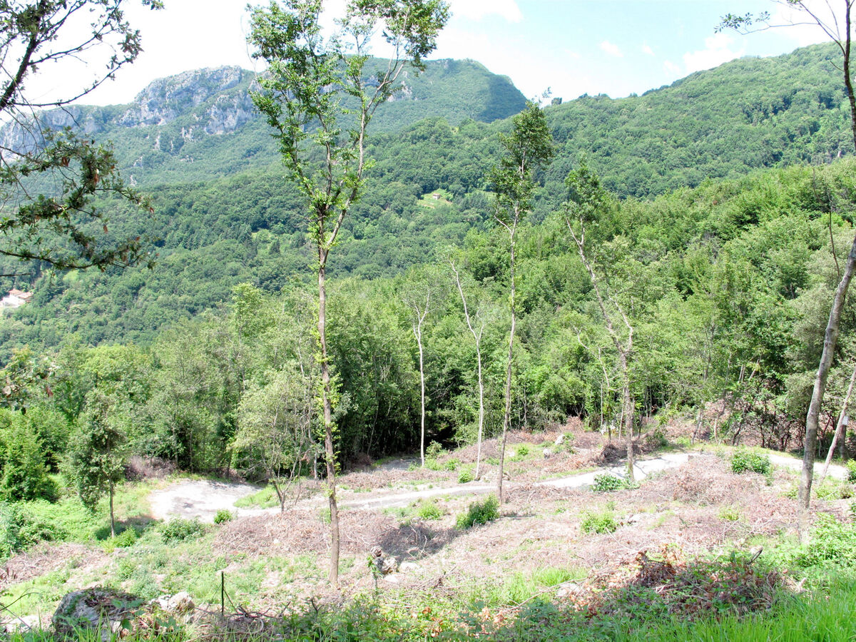 La Quercia – Gite 5 pers. à 650 m d'altitude - Photo 39
